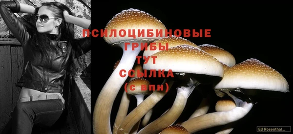 дурь Баксан