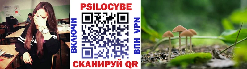 Галлюциногенные грибы Cubensis  цена наркотик  blacksprut рабочий сайт  Горнозаводск 